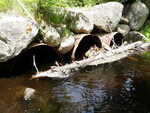 Multiple Culvert Crossing, Greenland Brook, Danforth, Maine