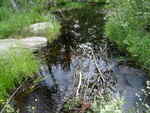 Culvert Crossing, Danforth, Maine