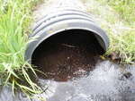 Culvert Crossing, Danforth, Maine