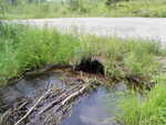 Culvert Crossing, Danforth, Maine