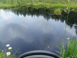 Culvert Crossing, Danforth, Maine
