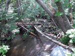 Culvert Crossing, Robbinston, Maine