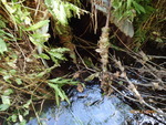 Culvert Crossing, Robbinston, Maine