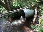 Culvert Crossing, Robbinston, Maine