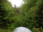 Culvert Crossing, North Branch Rolfe Brook, T6 ND BPP, Maine