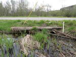 Multiple Culvert Crossing, Baileyville, Maine