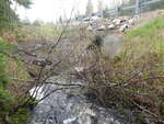 Culvert Crossing, Calais, Maine