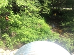 Culvert Crossing, Calais, Maine