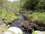 Multiple Culvert Crossing, Indian Twp Res, Maine