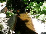 Culvert Crossing, Calais, Maine