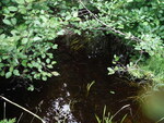 Multiple Culvert Crossing, T6 ND BPP, Maine