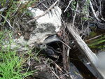 Multiple Culvert Crossing, T6 ND BPP, Maine