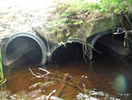 Multiple Culvert Crossing, T6 ND BPP, Maine