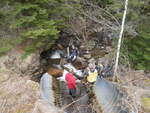 Culvert Crossing, Shattock Lake Stream, Robbinston, Maine