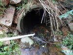 Culvert Crossing, Robbinston, Maine