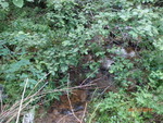 Culvert Crossing, Robbinston, Maine