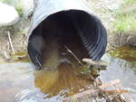 Culvert Crossing, Crooked Brook, Lambert Lake Twp, Maine