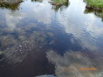Culvert Crossing, Crooked Brook, Lambert Lake Twp, Maine