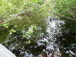 Culvert Crossing, Waite, Maine