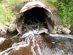 Culvert Crossing, Waite, Maine