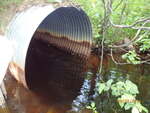 Culvert Crossing, Waite, Maine
