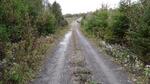 Culvert Crossing, Anderson Brook, Baileyville, Maine