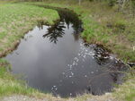 Culvert Crossing, Anderson Brook, Princeton, Maine
