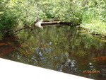 Culvert Crossing, Crooked Brook, Lambert Lake Twp, Maine