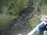 Bridge Crossing, East West, Robbinston, Maine