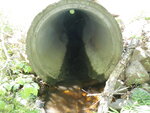 Culvert Crossing, Baring Plt, Maine