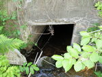 Bridge Crossing, Baring Plt, Maine