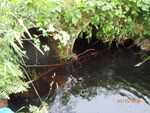 Multiple Culvert Crossing, Salmon Brook, Vanceboro, Maine