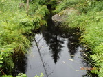 Multiple Culvert Crossing, Salmon Brook, Vanceboro, Maine