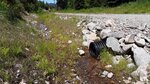 Bridge Crossing, Tomah Stream, Codyville Plt, Maine