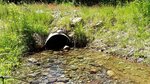 Bridge Crossing, Tomah Stream, Codyville Plt, Maine