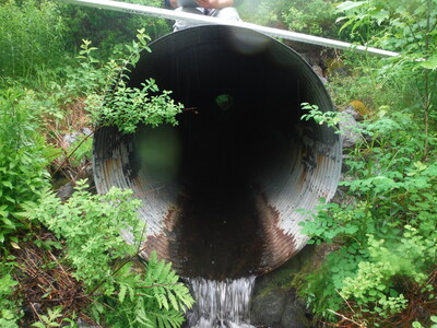 image preview