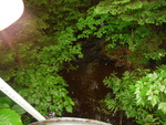 Culvert Crossing, Flood Brook, Topsfield, Maine