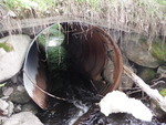 Culvert Crossing, Lowell Brook, Springfield, Maine