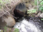 Culvert Crossing, Lowell Brook, Springfield, Maine