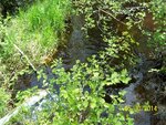 Culvert Crossing, George Brook, Indian Twp Res, Maine
