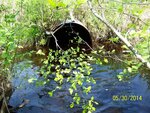 Culvert Crossing, George Brook, Indian Twp Res, Maine
