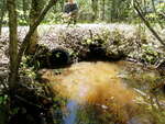 Multiple Culvert Crossing, Greenlaw Chopping Twp, Maine