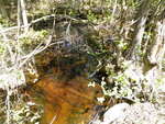 Multiple Culvert Crossing, Greenlaw Chopping Twp, Maine