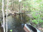 Culvert Crossing, Conic Stream, Baring Plt, Maine