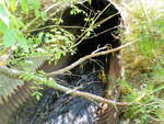 Culvert Crossing, Conic Stream, Baring Plt, Maine