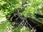 Culvert Crossing, Conic Stream, Baring Plt, Maine