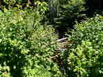 Multiple Culvert Crossing, Grand Lake Stream Plt, Maine