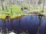 Multiple Culvert Crossing, Grand Lake Stream Plt, Maine