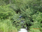 Culvert Crossing, Little Simsquish Brook, Lambert Lake Twp, Maine