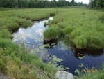 Culvert Crossing, Little Simsquish Brook, Lambert Lake Twp, Maine